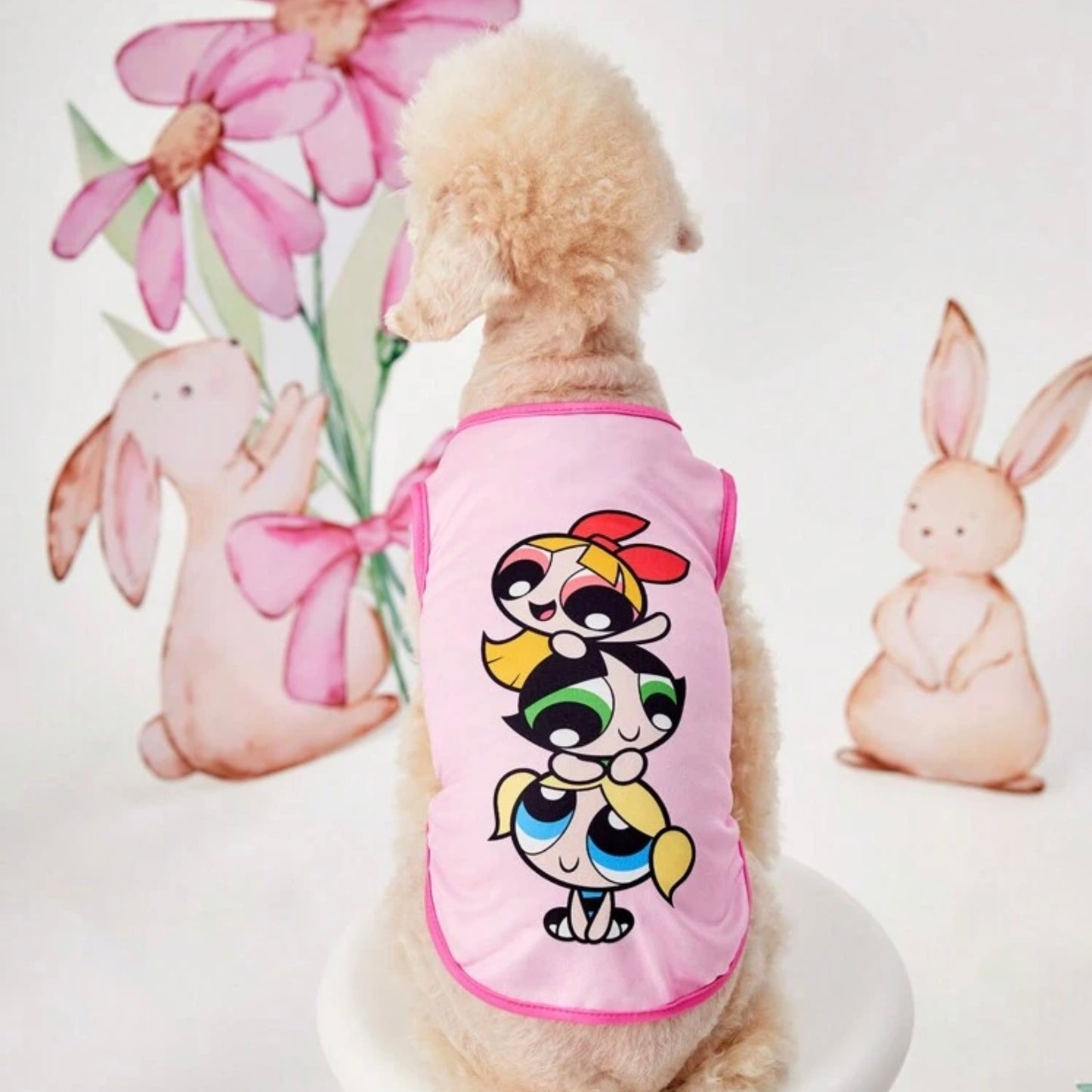 White poodle wearing a pink dog shirt with the Powerpuff Girls stacked illustration, sitting in front of a backdrop with pink flowers and bunny illustrations.