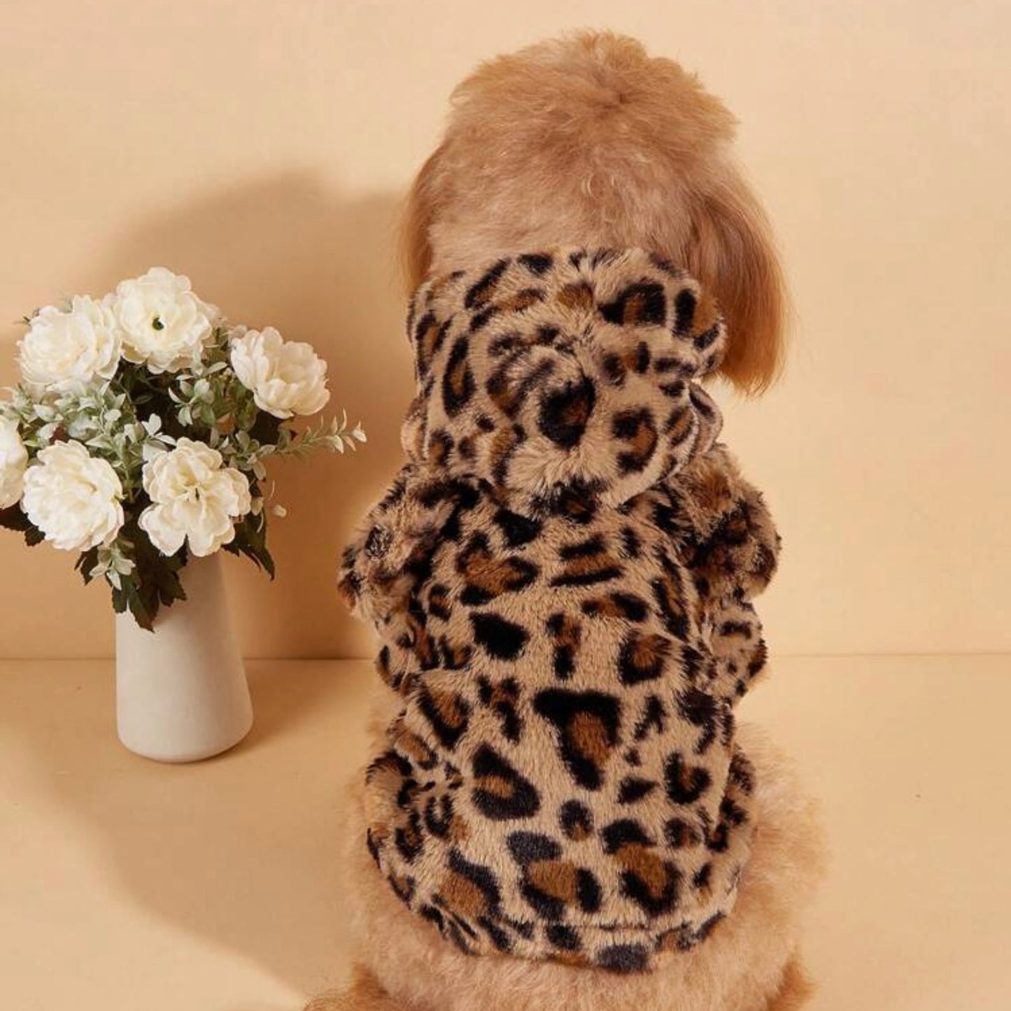 Rear view of a fluffy dog wearing a leopard print hoodie with a hood and bear ears, sitting in front of a vase of white flowers.