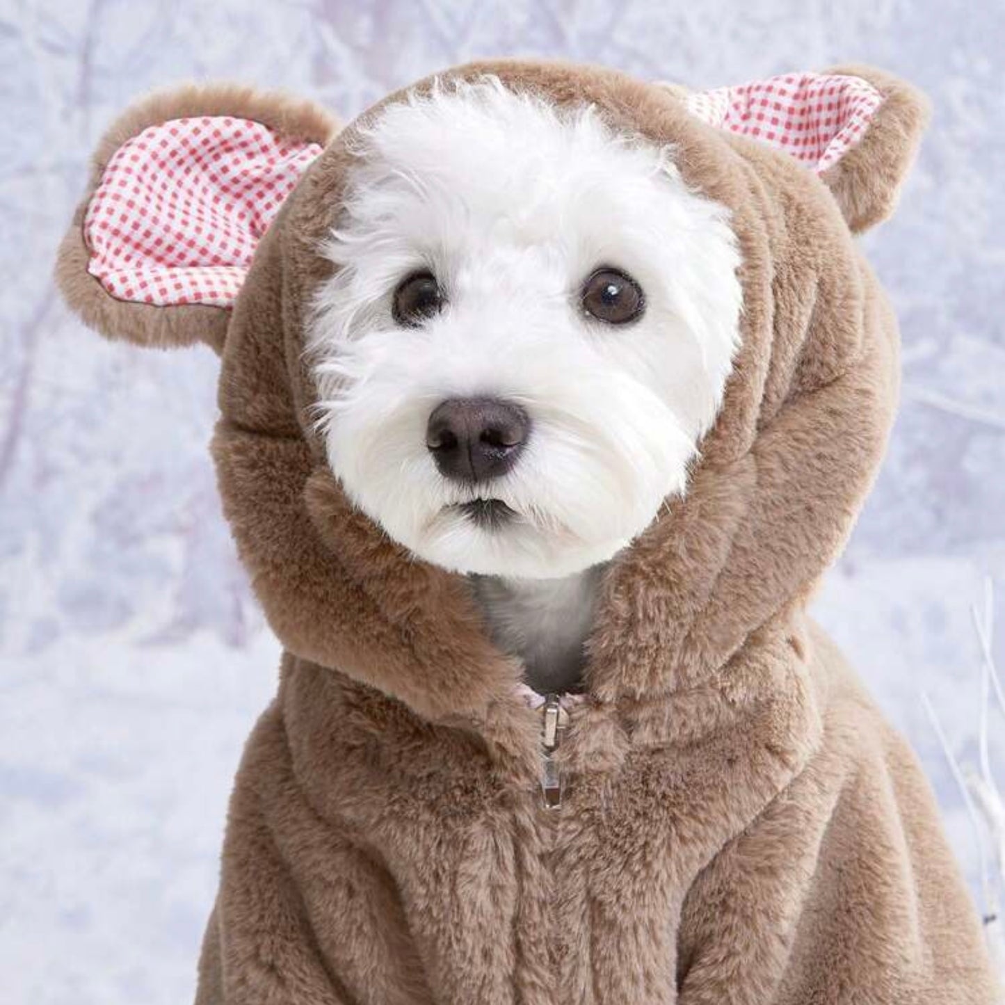 Brown plush dog jacket with a hood and bear ears lined in red-and-white check fabric, displayed upright to show the front and ear details.