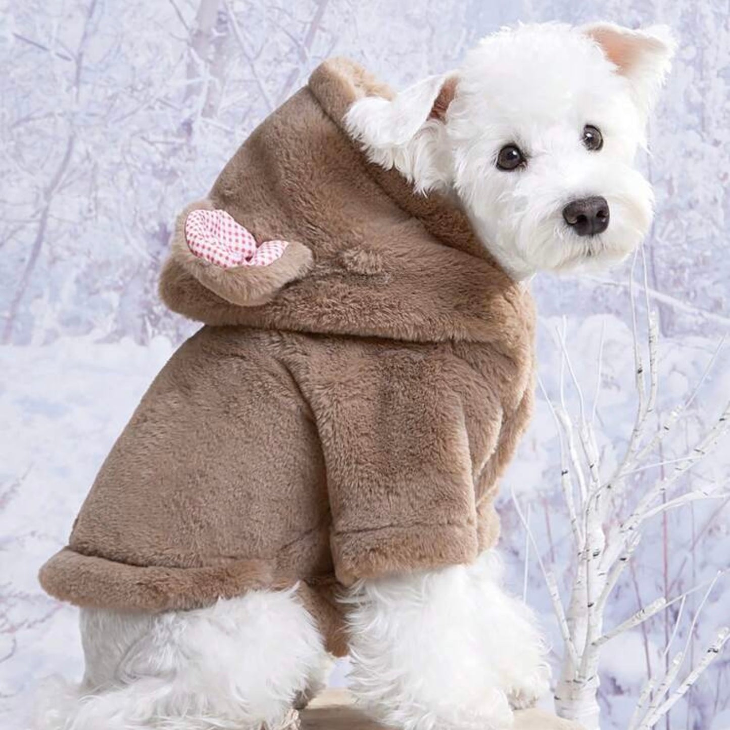 White dog wearing a brown plush bear-ear jacket with red-and-white check fabric inside the ears, sitting in a wintery outdoor setting.