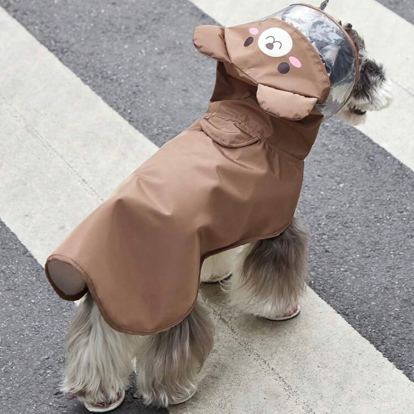 Dog wearing a brown raincoat with a bear face hood and clear visor, standing on a street, viewed from behind.