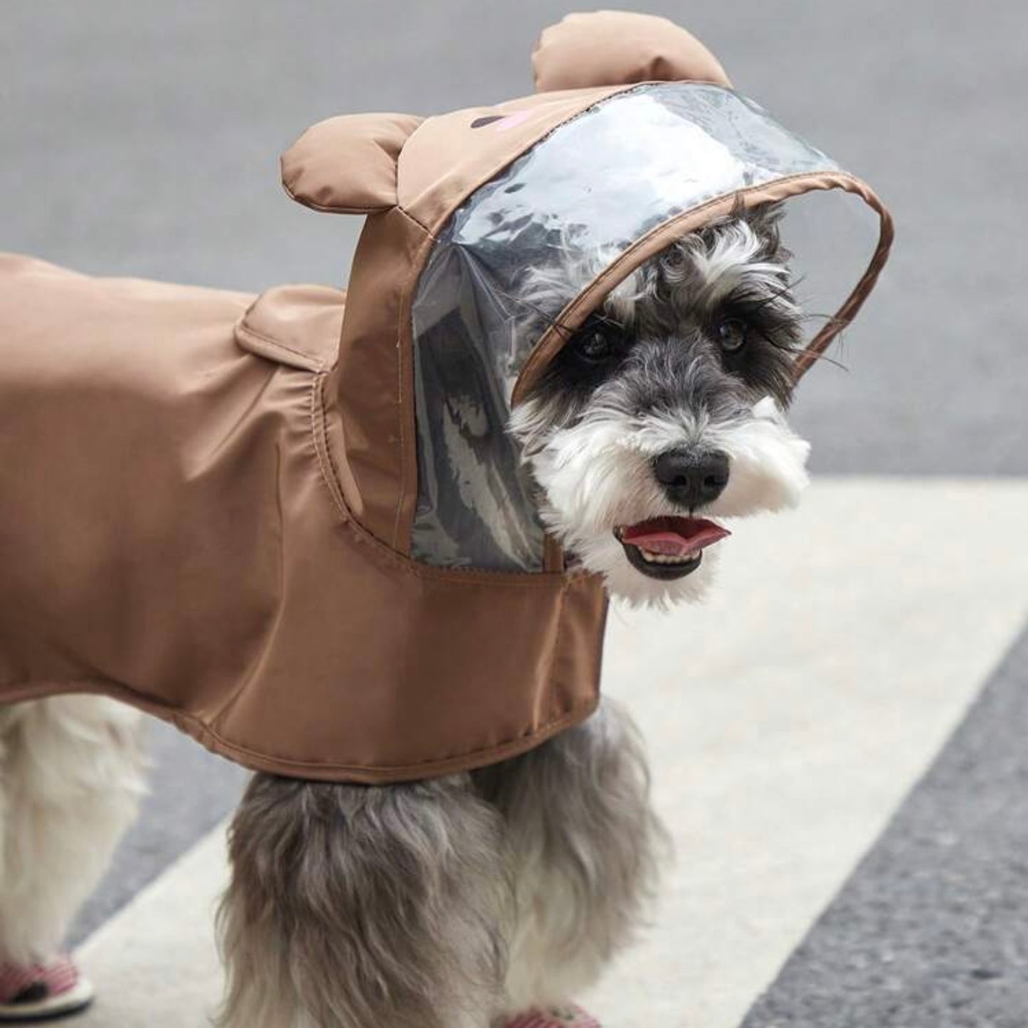 Close-up of a dog in a brown raincoat with a bear face hood and transparent visor, looking to the side.