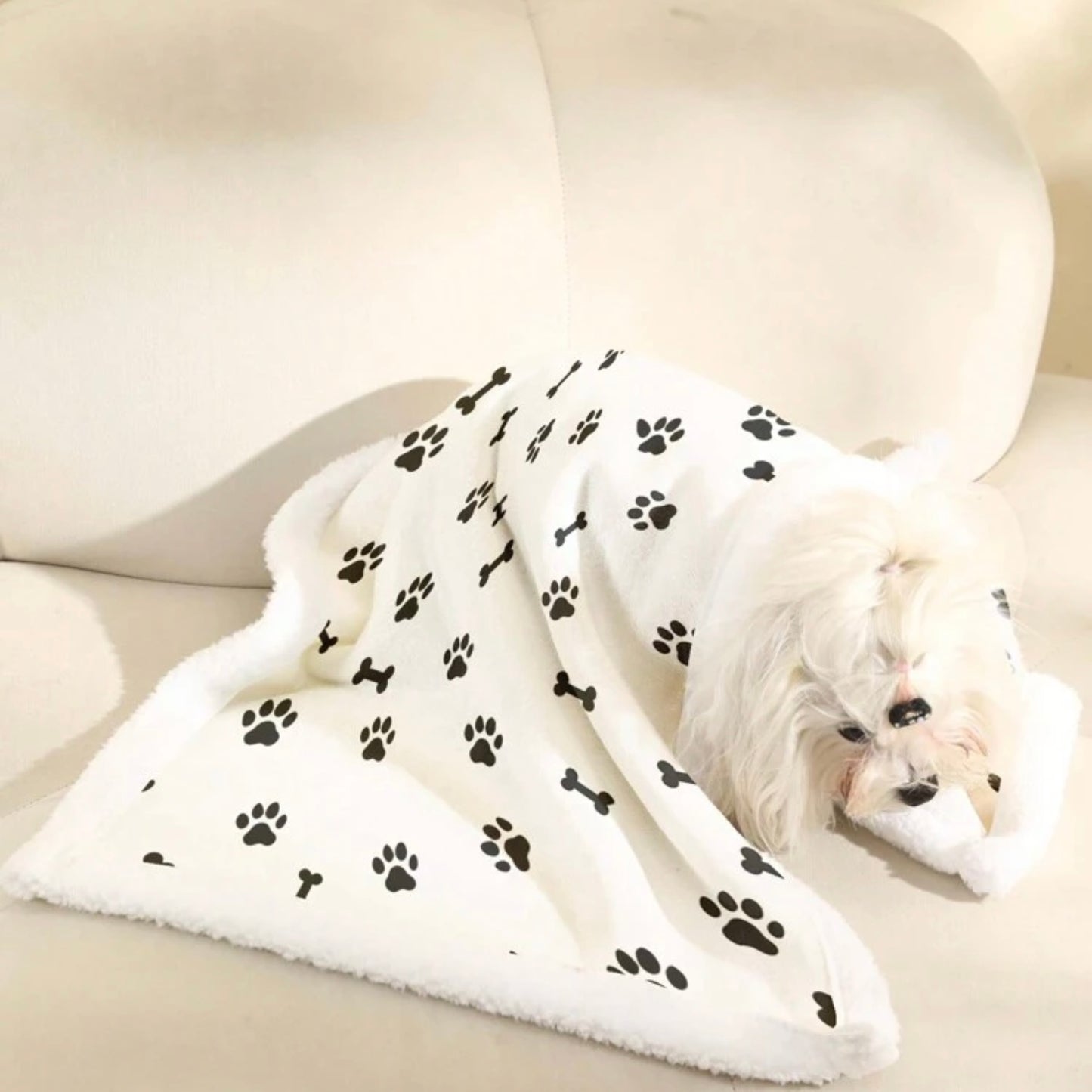 Small white dog lying on a beige sofa, partially covered by a white blanket featuring black paw prints and bone designs.