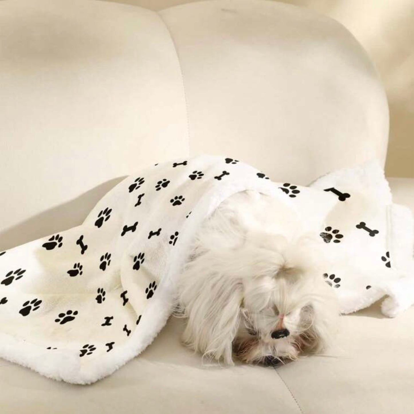 Small white dog resting with its head down on a beige sofa, snuggled under a white blanket decorated with black paw prints and bones.