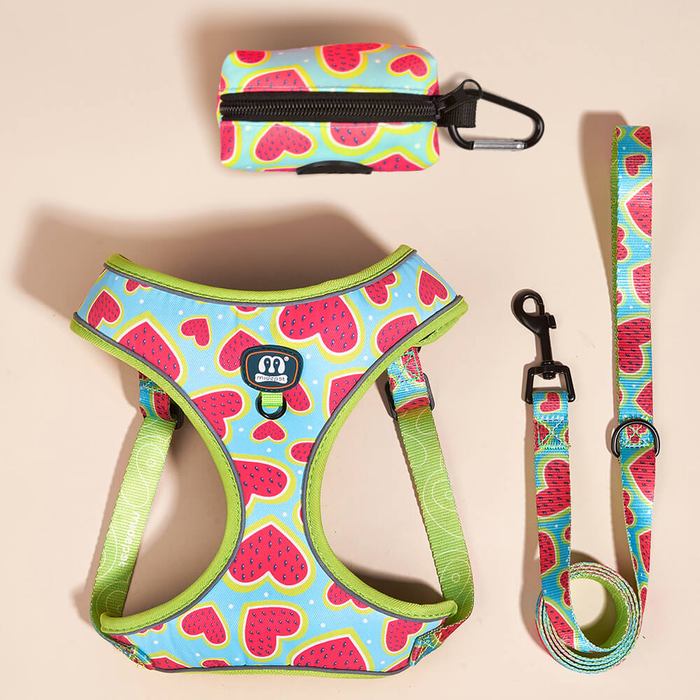 Set of dog accessories including a harness, leash, and zippered poop bag pouch, all featuring a watermelon heart pattern with green trim, arranged neatly on a light background.