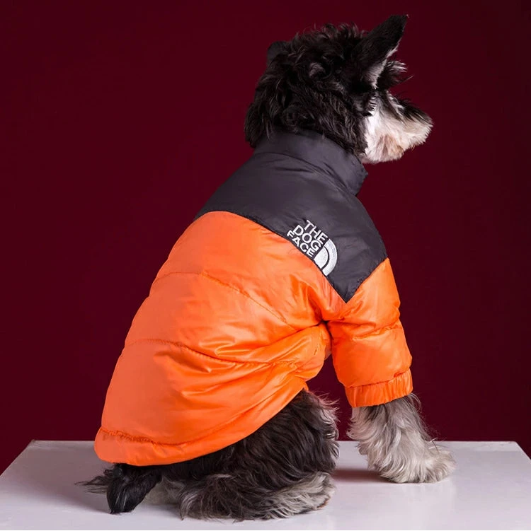 Schnauzer dog wearing an orange and black puffer jacket with "The Dog Face" logo, sitting and facing away against a red background.