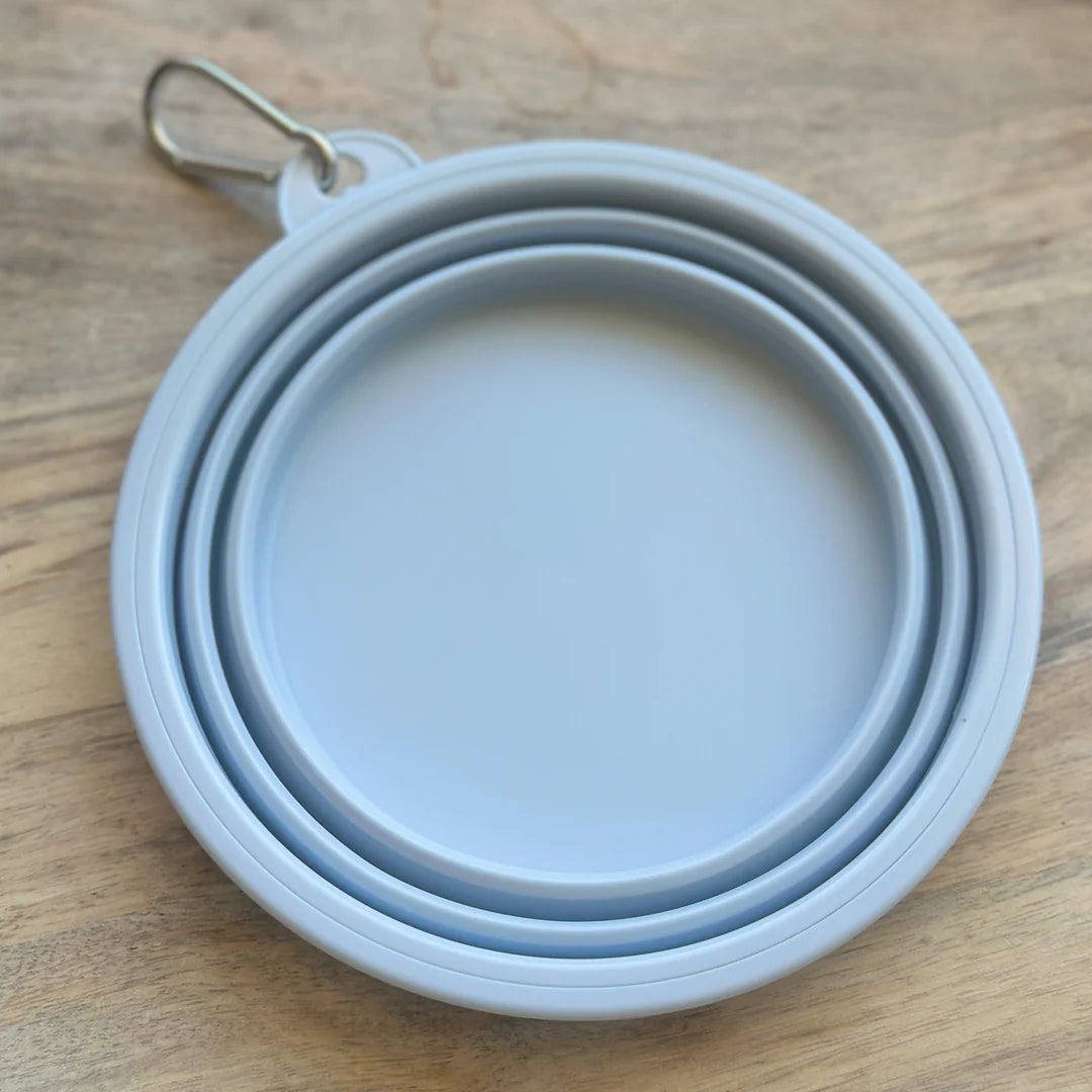 Light blue collapsible dog bowl folded flat with a carabiner clip, placed on a wooden surface.