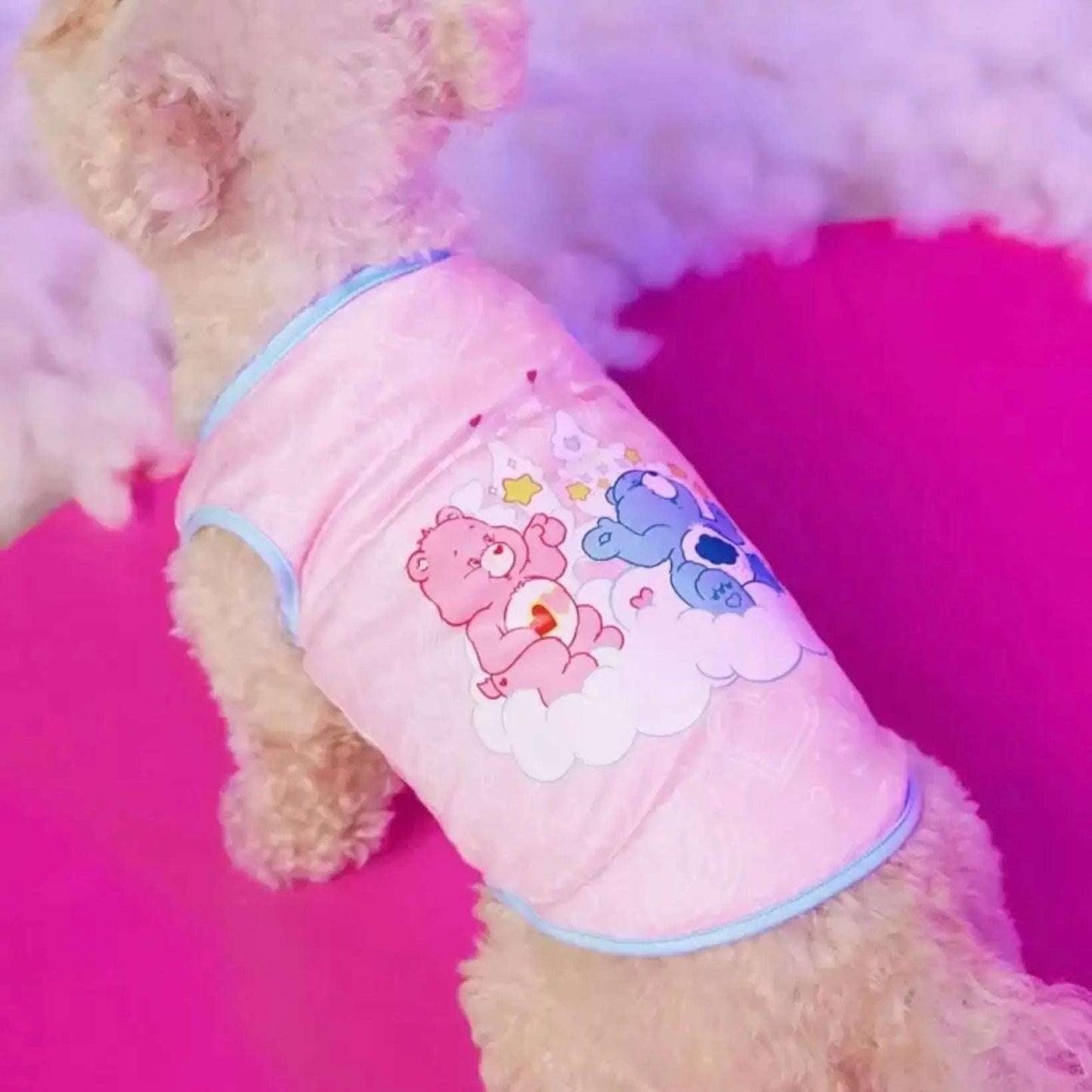 Small dog wearing a pink tank top with blue trim, featuring Care Bears sitting on a cloud design.