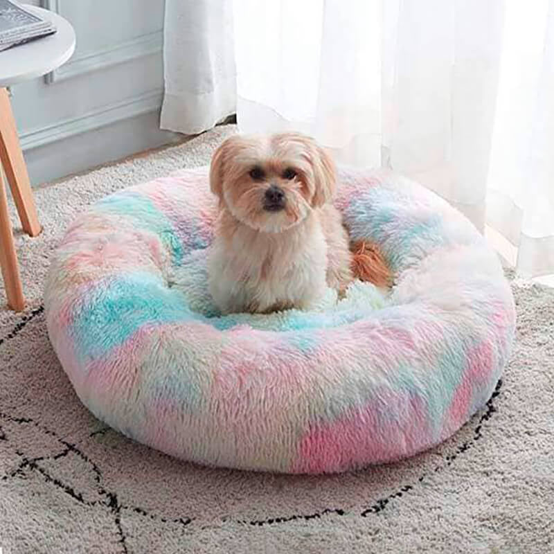 Small white and tan dog sitting in a large fluffy pastel rainbow donut dog bed on a carpet.
