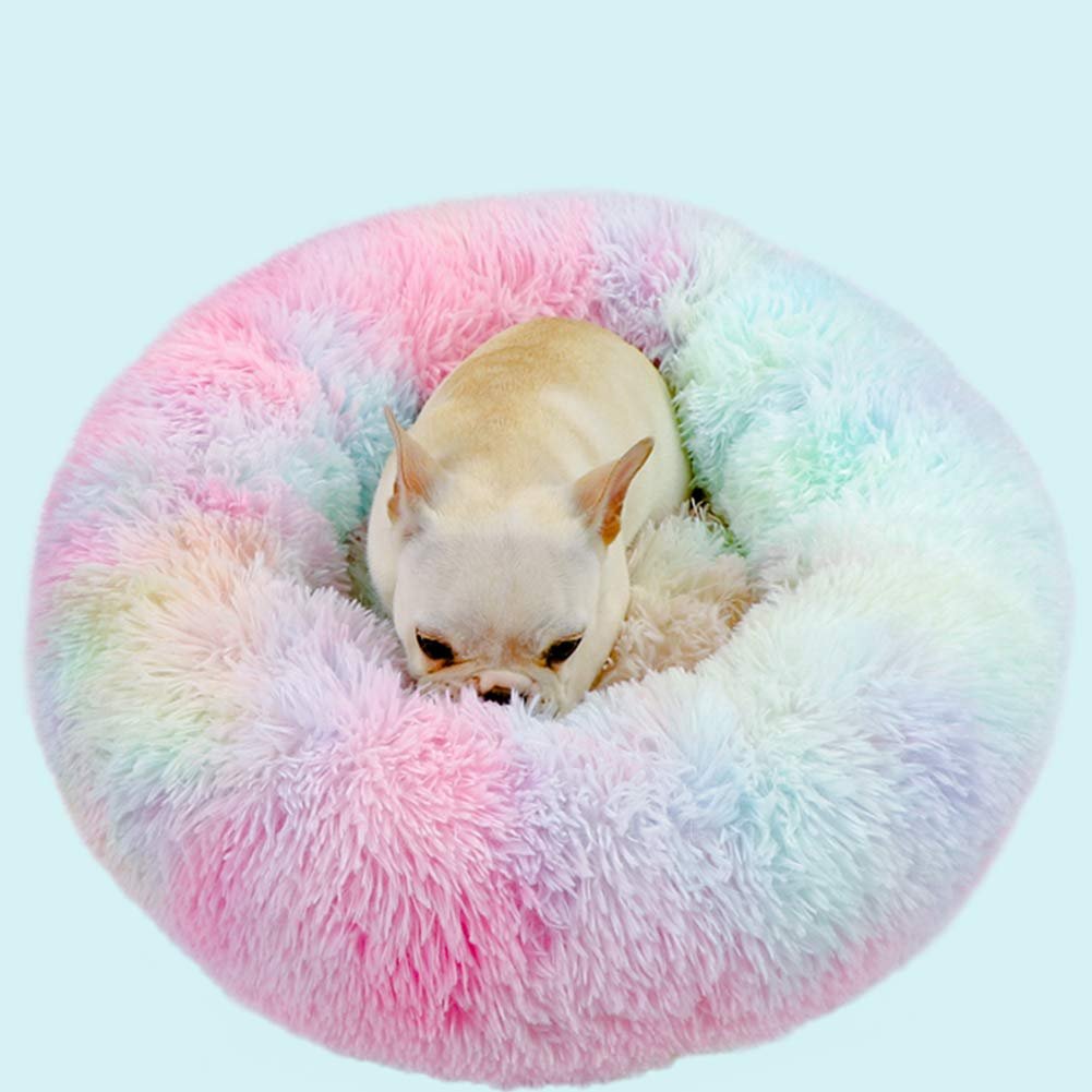 Small French bulldog curled up in a fluffy pastel rainbow donut dog bed.