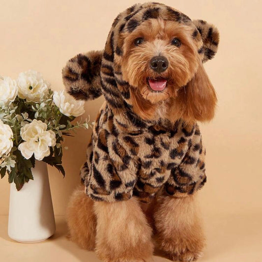 A small fluffy dog wearing a plush leopard print hoodie with bear ears, sitting beside a vase of white flowers.