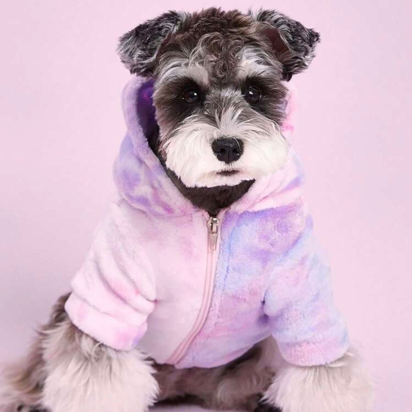 Small dog wearing a pastel tie-dye plush hoodie jacket, facing forward against a light pink background.