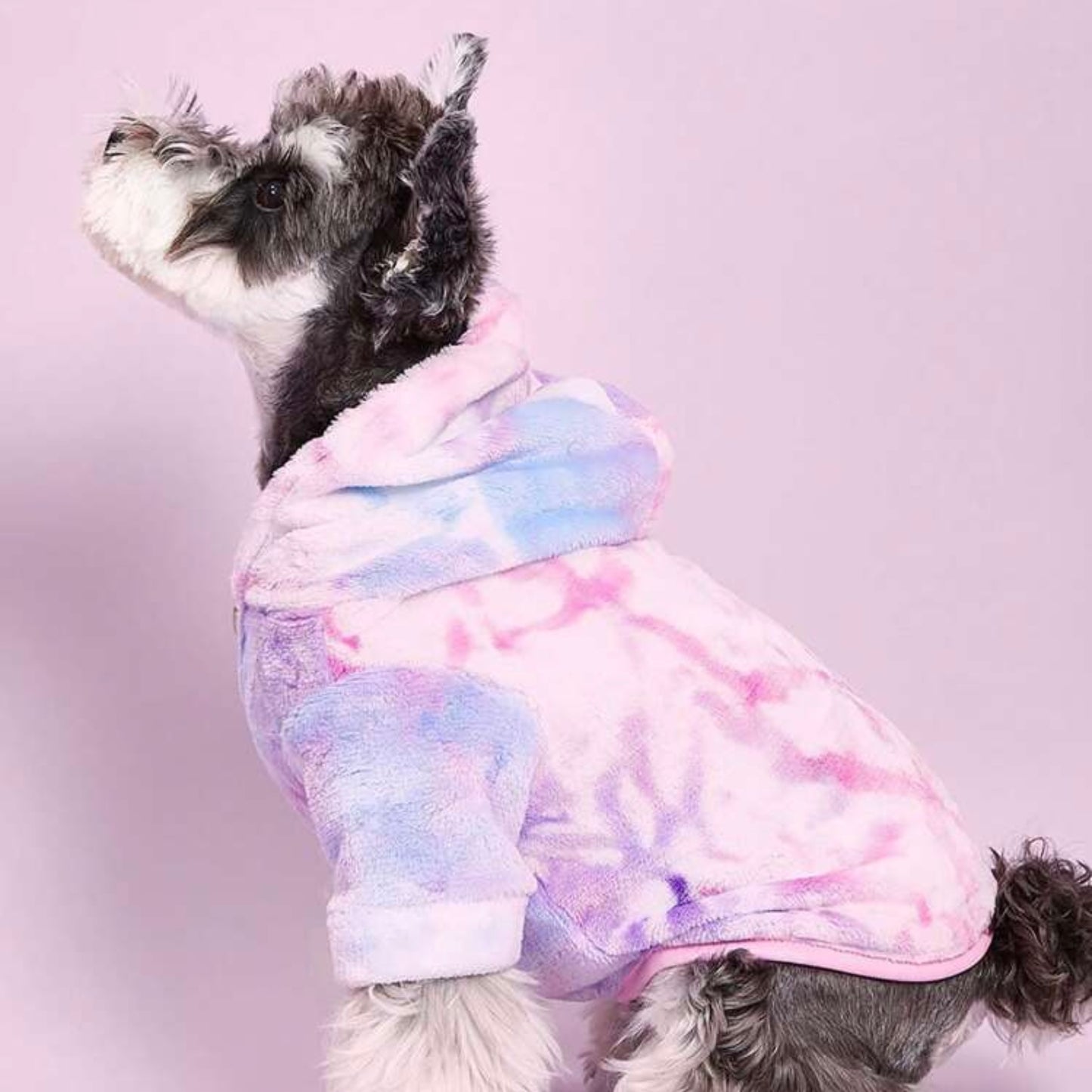 Side profile of a small dog in a pastel tie-dye plush hoodie jacket, showing the hood and sleeve details.