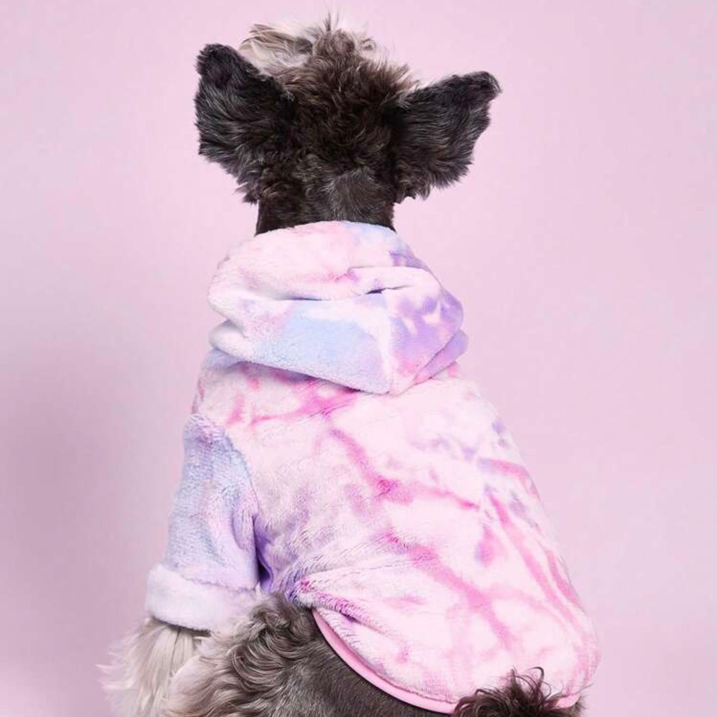 Back view of a small dog wearing a pastel tie-dye plush hoodie jacket with the hood up.