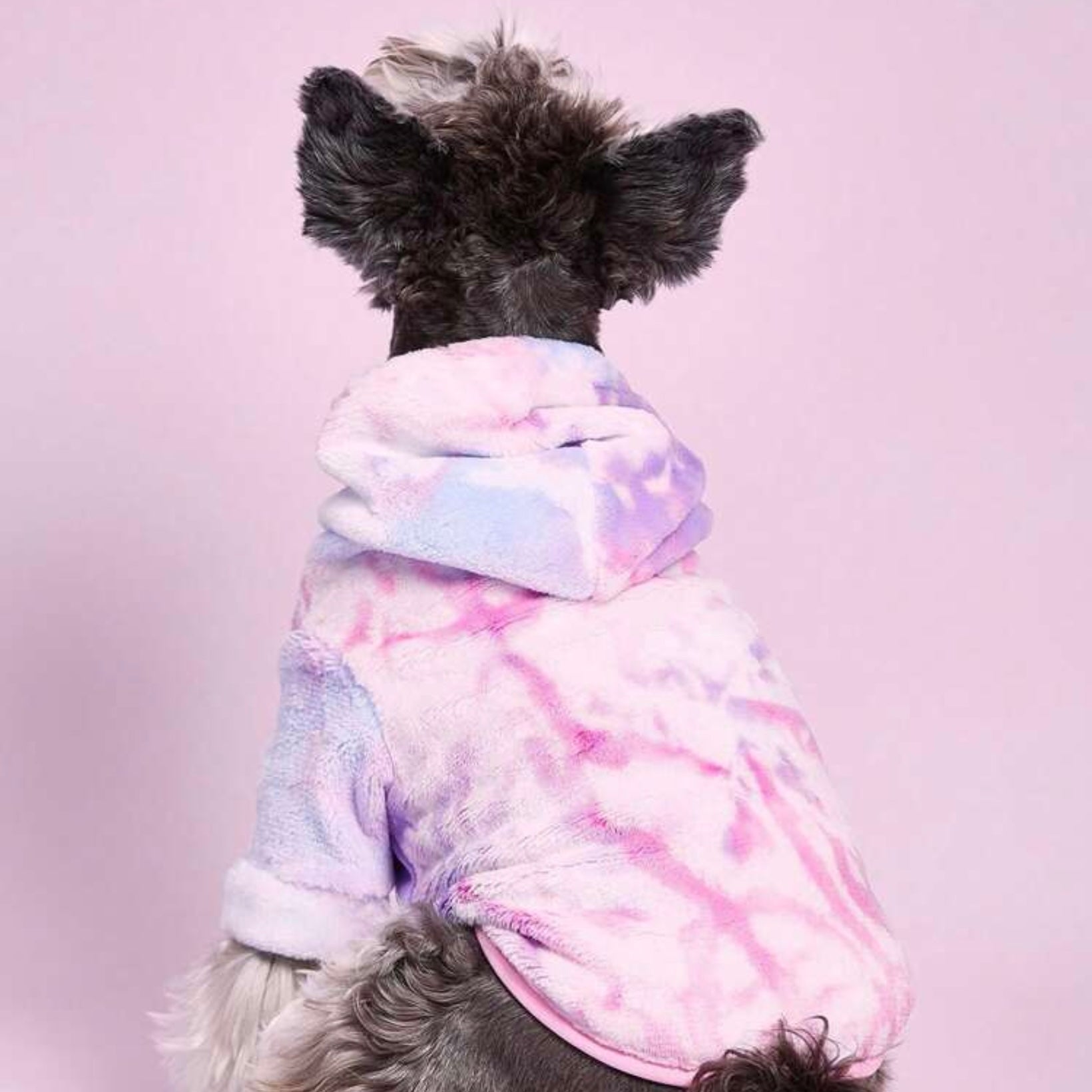 Back view of a small dog wearing a pastel tie-dye plush hoodie jacket with the hood up.