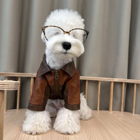 White fluffy dog wearing tortoiseshell glasses and a brown faux leather pilot jacket, sitting on a wooden bench.