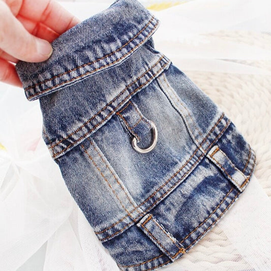 Hand holding a blue denim dog jacket with visible collar and metal D-ring on the back.