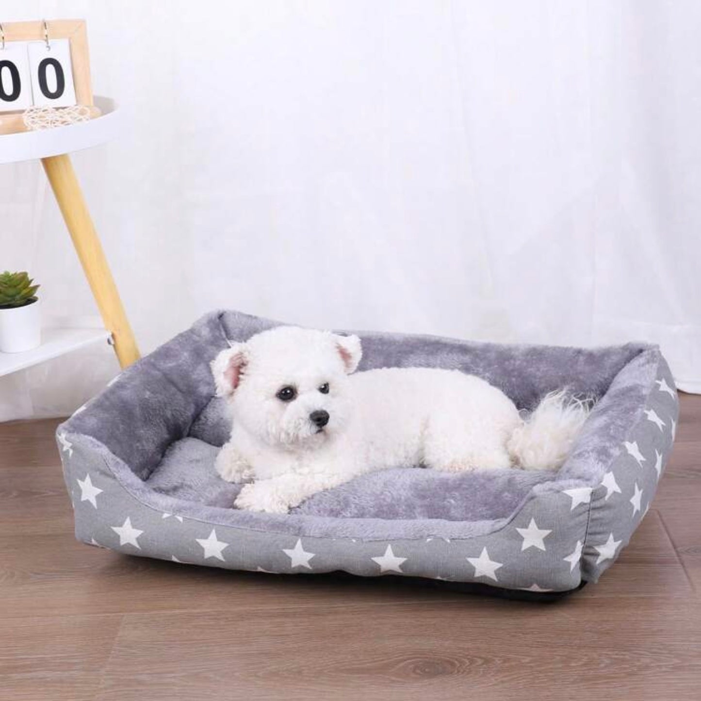 Small white dog lying on a grey star-patterned rectangular dog bed on a wooden floor.