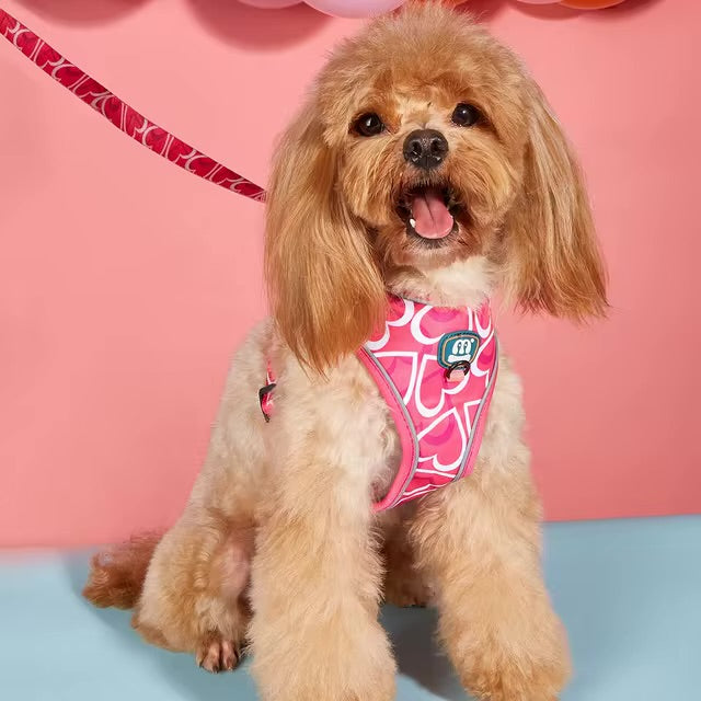 Image 1: Small fluffy dog wearing a pink harness with a heart pattern, sitting in front of a pink background.