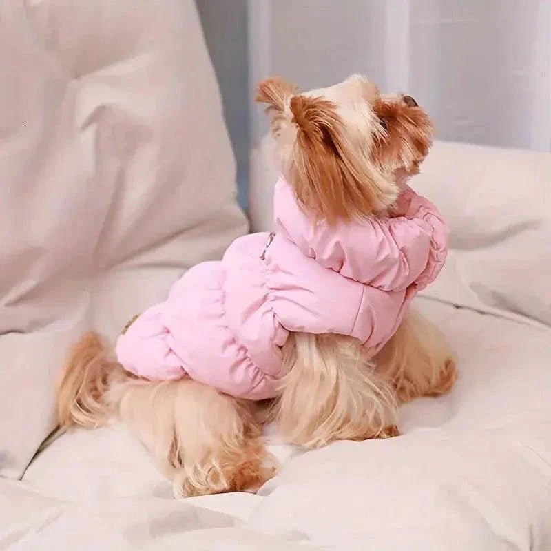 Small dog wearing a pink puffer jacket sitting on a beige couch, facing away.