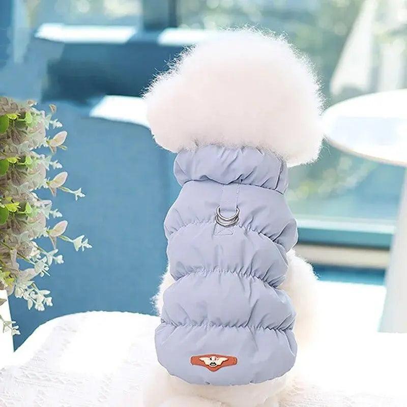 White fluffy dog in a light blue puffer jacket with a metal d ring on the back, sitting indoors.
