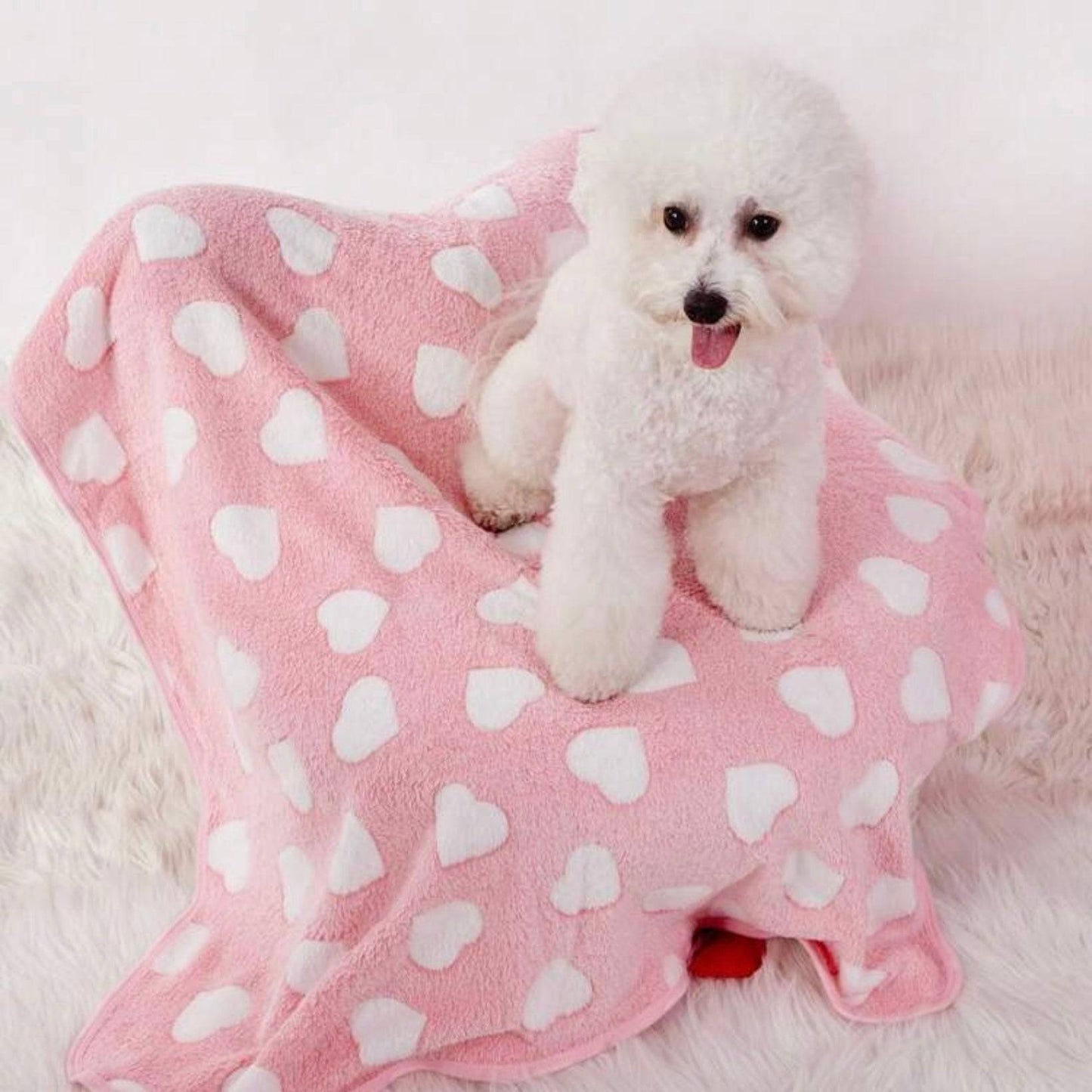 White fluffy dog sitting on a pink blanket with white heart patterns, on a soft furry surface.