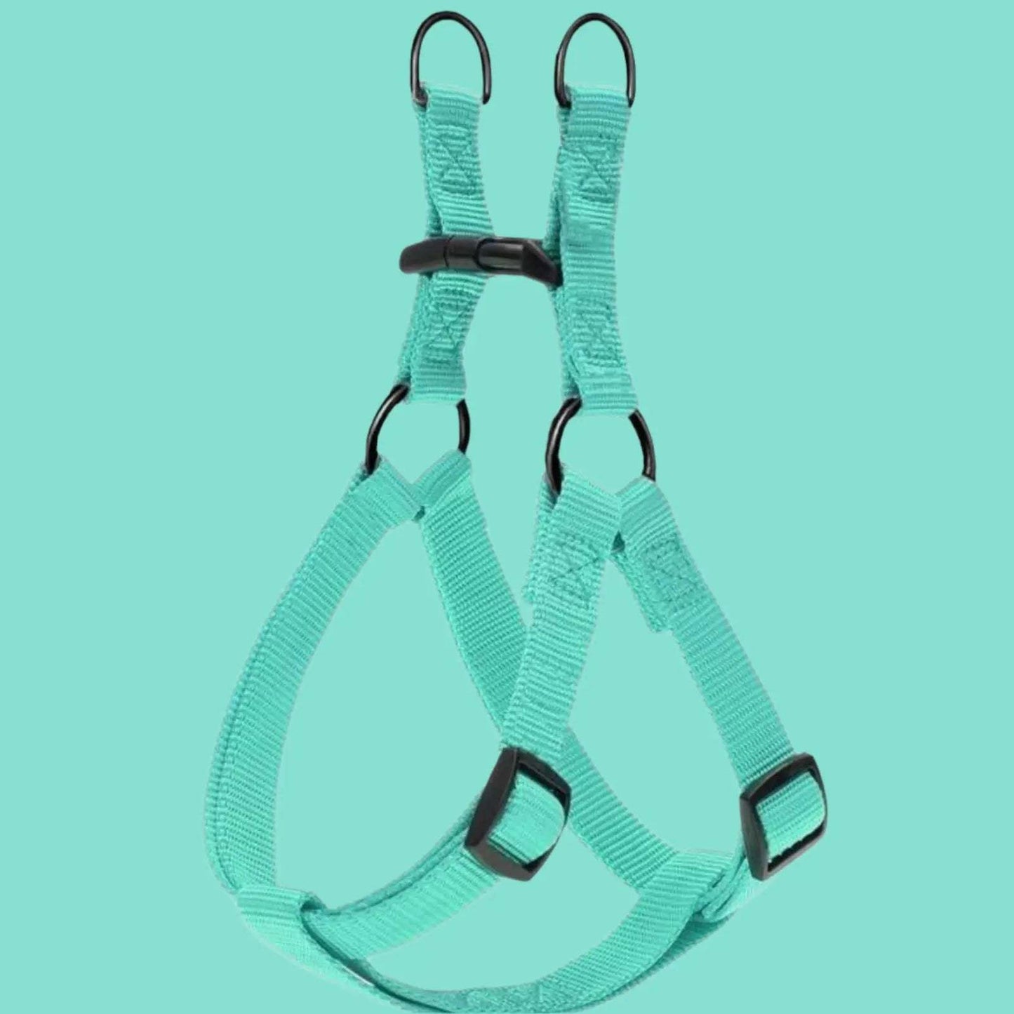 Teal-colored adjustable nylon step in dog harness with black plastic buckles and metal rings, laid flat on a teal background.