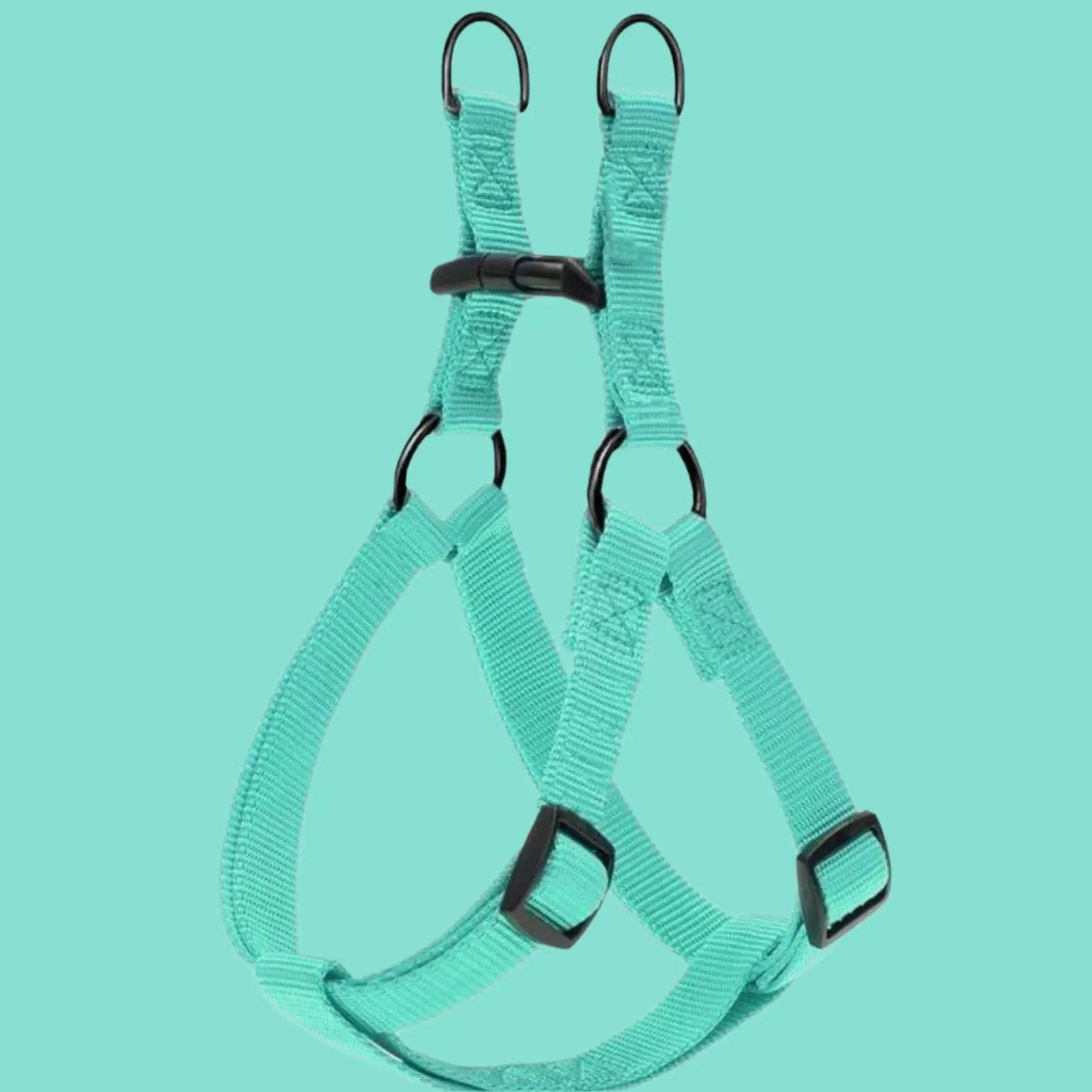 Teal-colored adjustable nylon step in dog harness with black plastic buckles and metal rings, laid flat on a teal background.