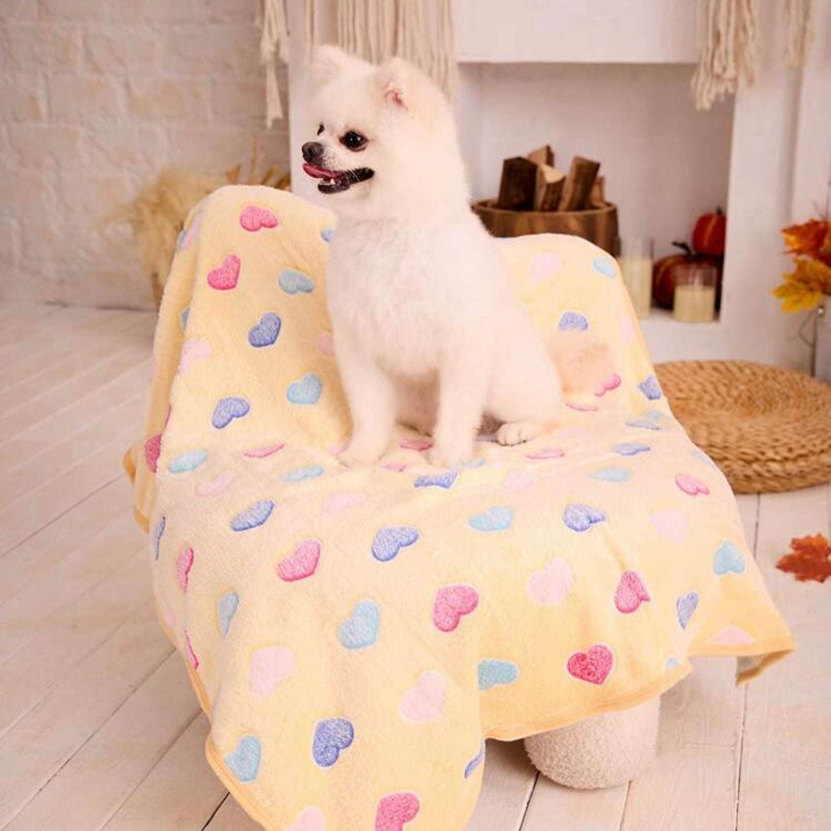 Small white dog sitting on a yellow blanket with colorful heart patterns in a cozy living room.