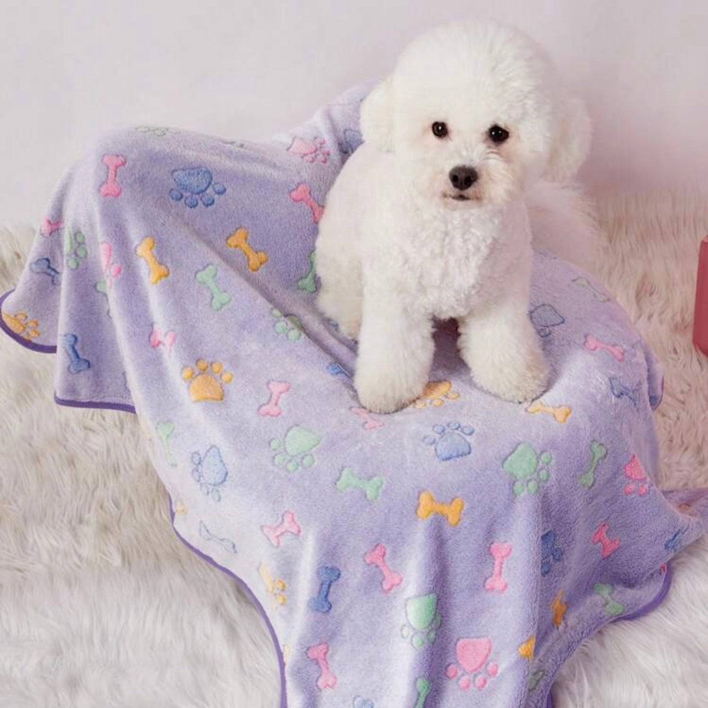 White fluffy dog sitting on a light purple blanket decorated with colorful paw prints and bone patterns.