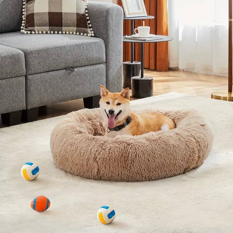 A Shiba Inu dog lying comfortably in a fluffy, round beige dog bed on a light-colored carpet, with three colorful dog toys scattered nearby in a cozy living room setting featuring a gray sofa and a side table.