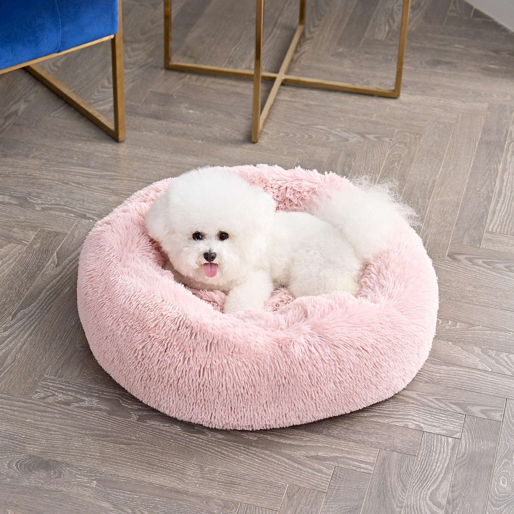 A fluffy white Bichon Frise lying comfortably in a round, pink, plush dog bed on a light wood floor.