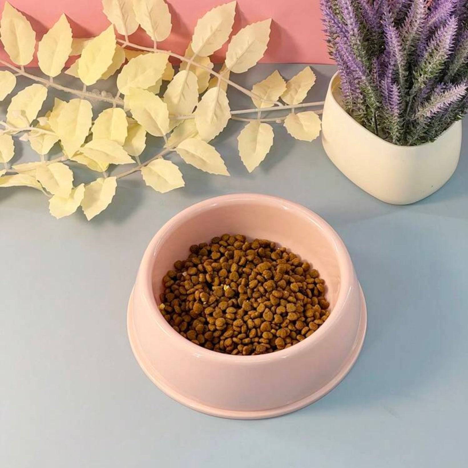 Pastel pink dog food bowl filled with kibble, placed on a table with decorative leaves and a potted plant in the background.