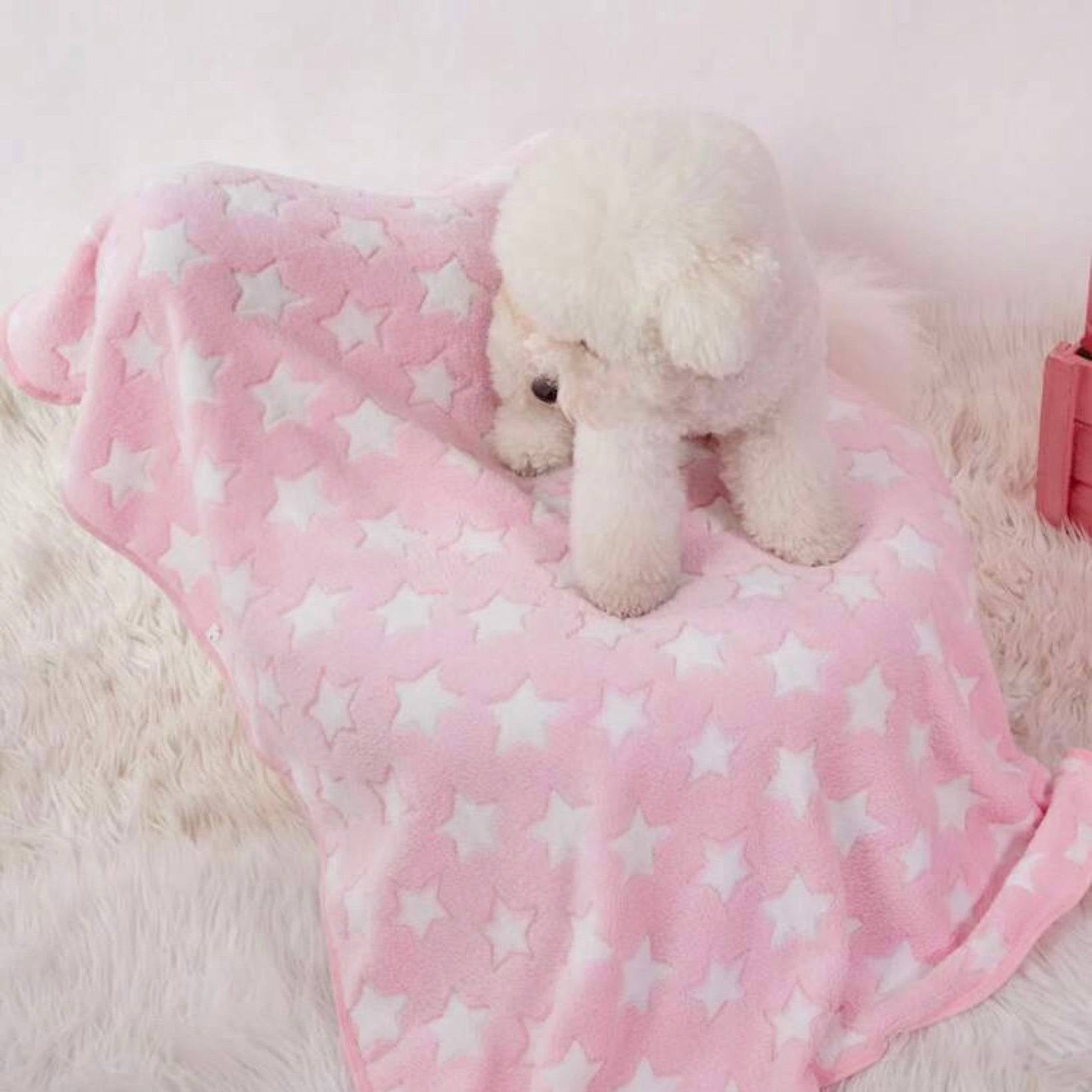 White fluffy dog sitting on a pink blanket with white stars, placed on a soft cream rug.