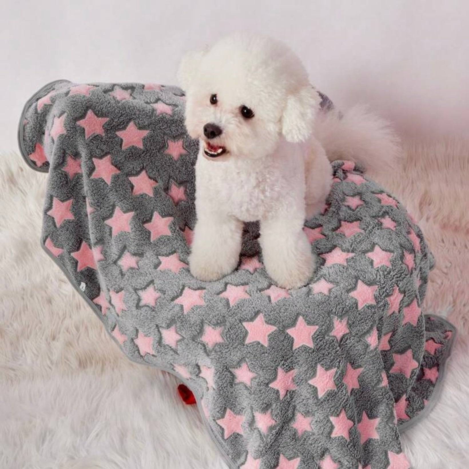 White fluffy dog sitting on a grey blanket with pink stars, placed on a soft cream rug.