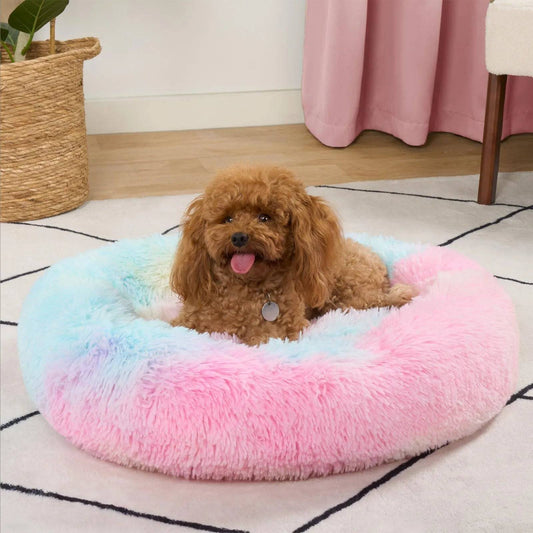 Brown poodle lying in a large fluffy pastel rainbow donut dog bed on a carpet.